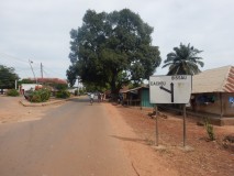 Canchungo to Bissau, via Bula